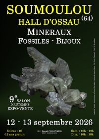 9. Mineralien-, Fossilien- und Schmuckmesse