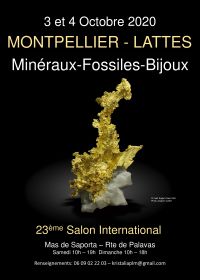 International Exchange Minerals Fossilien schneiden Steine Lattes Montpellier