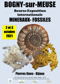 Internationales Ausstellungsstipendium für Fossile Mineralien