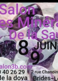 Savoie-Mineralienmesse in Brides-les-Bains