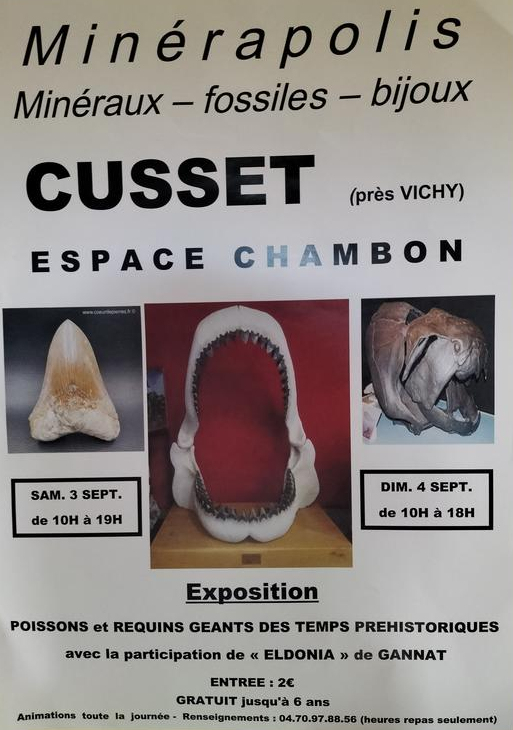 MINERAPOLIS Ausstellung von Fossilien, Mineralien und Schmuck