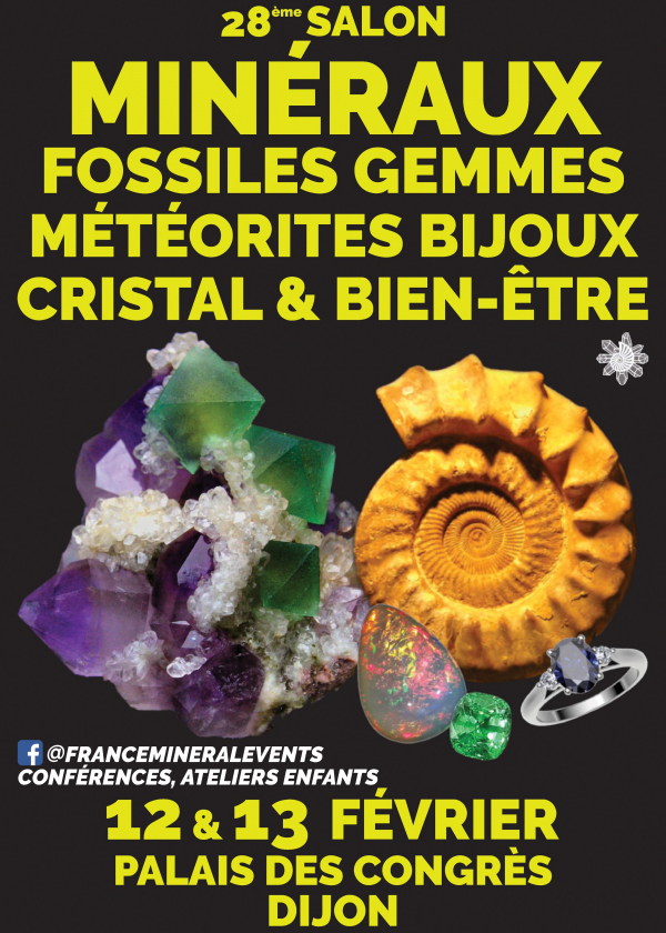 28. Mineralienereignis Dijon