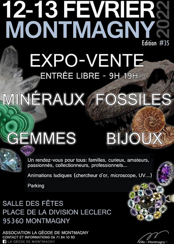 Expo-Verkauf Fossil Minerals Jewellery