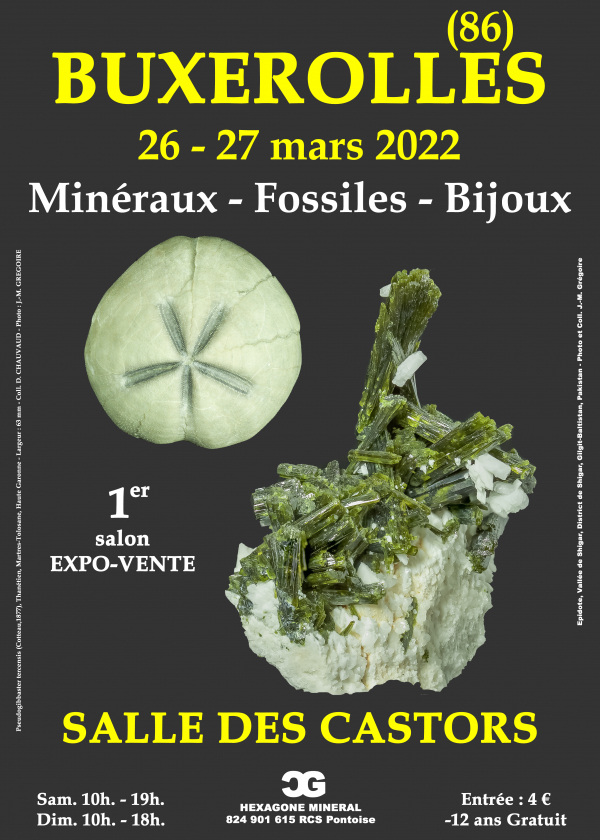 1. Schmuckmesse für fossile Mineralien