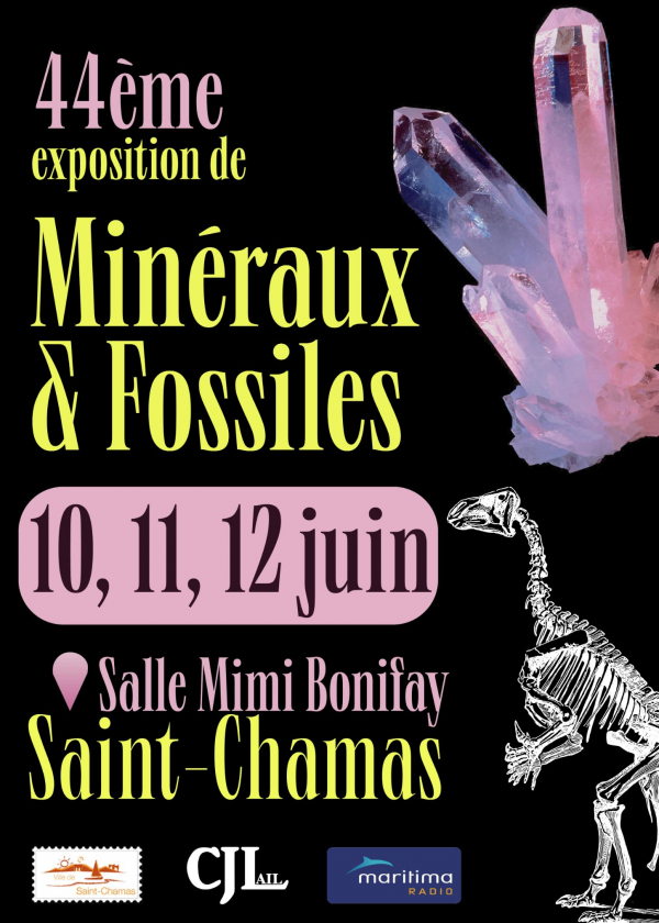 44. Mineralien- und Fossilienmesse