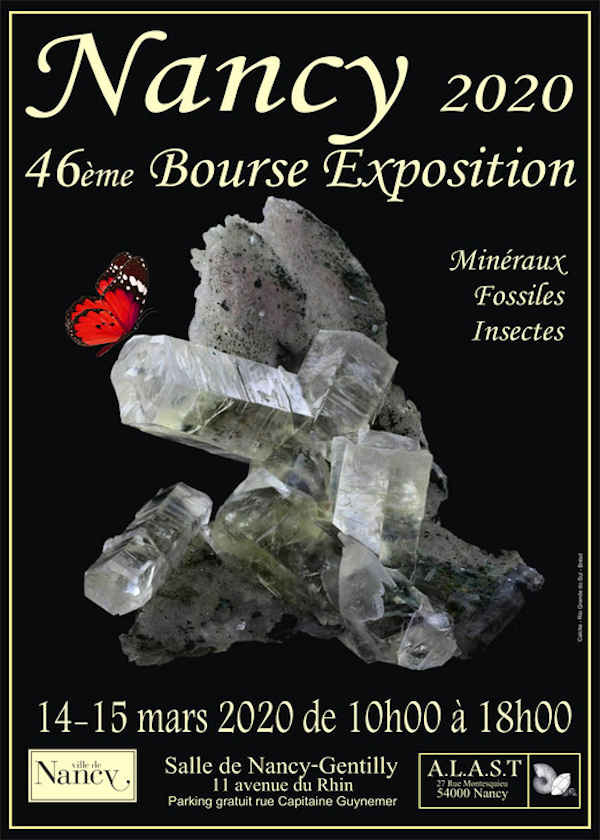 46. Börsenausstellung fossiler Mineralien und Insekten
