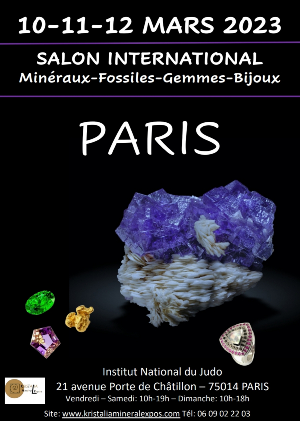 Mineralien, Fossilien, Edelsteinmesse, Paris Institut du Judo