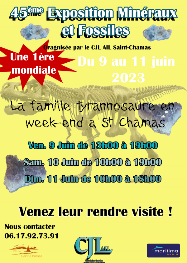 45. Mineralien- und Fossilienmesse