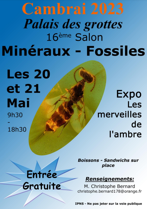 17. AGC Mineralien- und Fossilienmesse. Freier Eintritt von 9:30 bis 18:30 Uhr