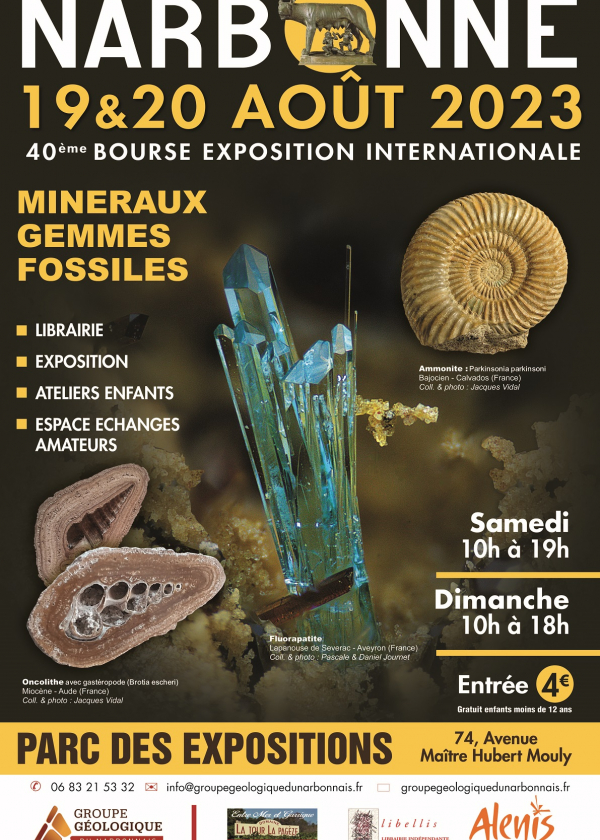 40 gleichmäßiges Stipendium für Mineralien und Fossilien von NARBONNE