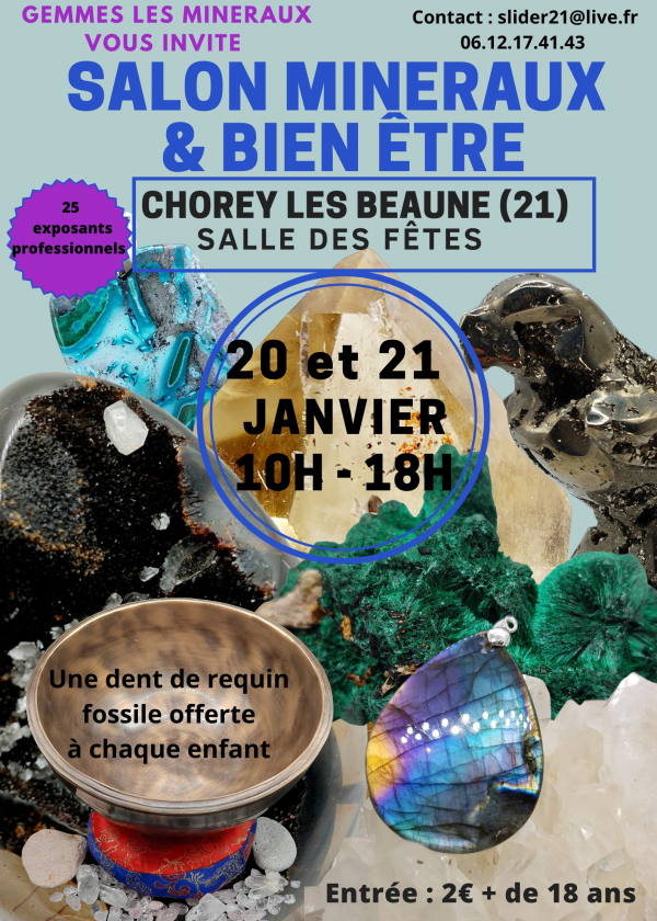 Mineralien, Fossilien, Meteoriten und Wellness-Show