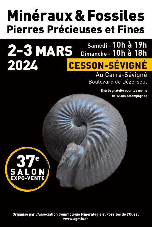 37. AGMFO-Mineralienmesse