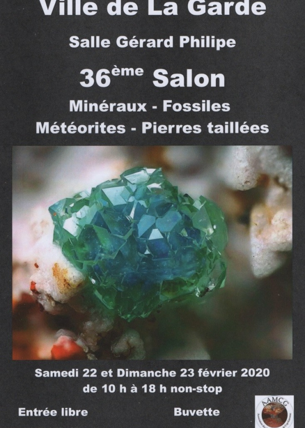 36. Mineral- und Fossilienaustausch