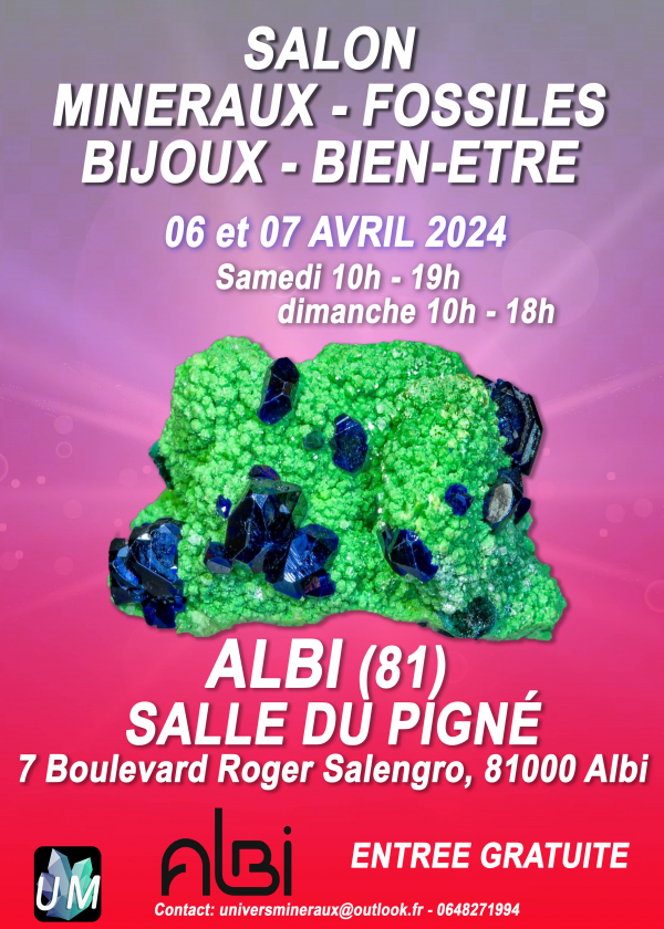 Mineralien, Fossilien, Designerschmuck und Wellnessmesse.