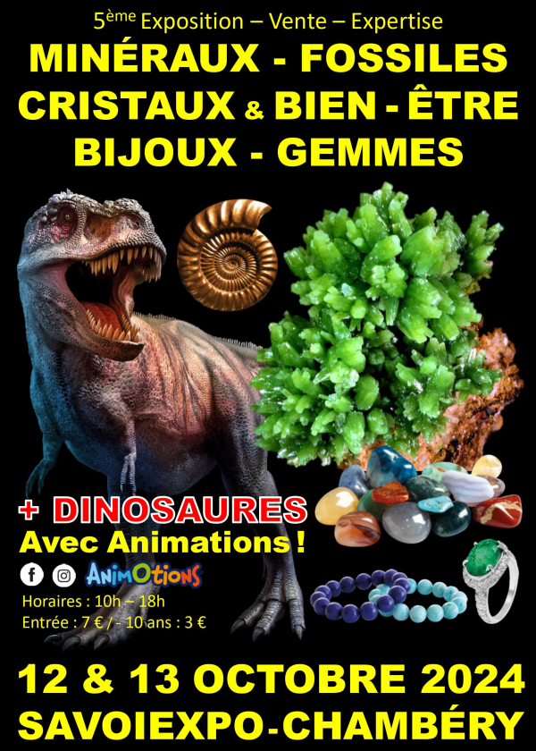 5. Ausstellung Mineralien Fossilien Kristalle Chambery