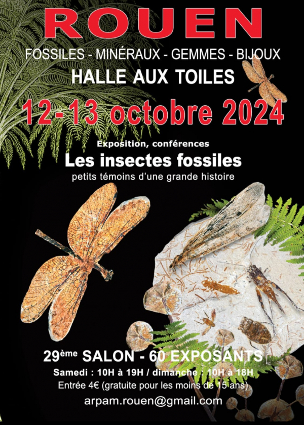 29. Internationale Ausstellung Rouen 2024 Fossilien, Mineralien, Edelsteine und Schmuck