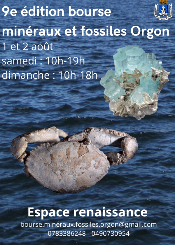 9. Geldbörse, Fossilien, Mineralien, Schmuck, Meteoriten