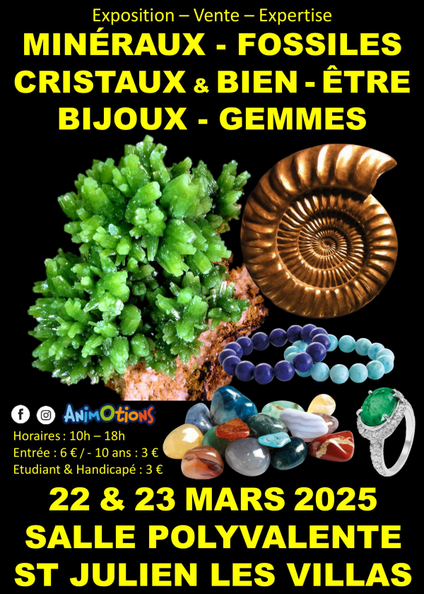 Fossile Mineralien, Kristalle und Wellness Troyes Schmuck- und Edelsteinmesse