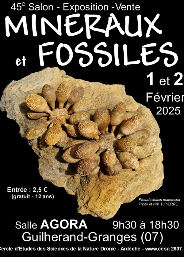 45. Guilherand-Granges Mineralien- und Fossilienbörse