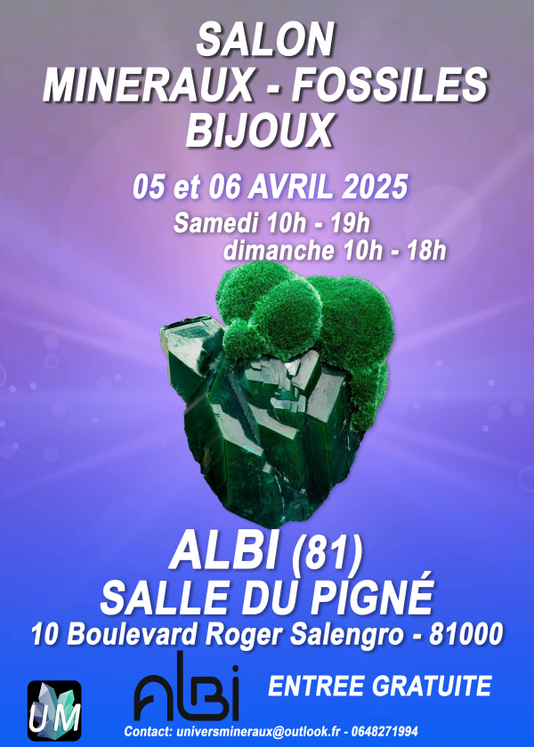 Ausstellung von Mineralien, Fossilien und Designerschmuck.