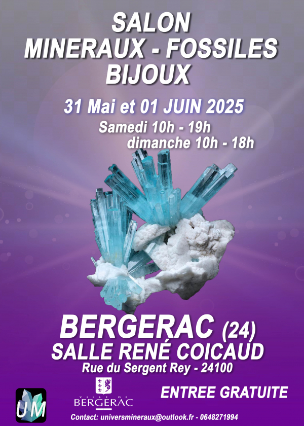 Ausstellung von Mineralien, Fossilien und Designerschmuck.