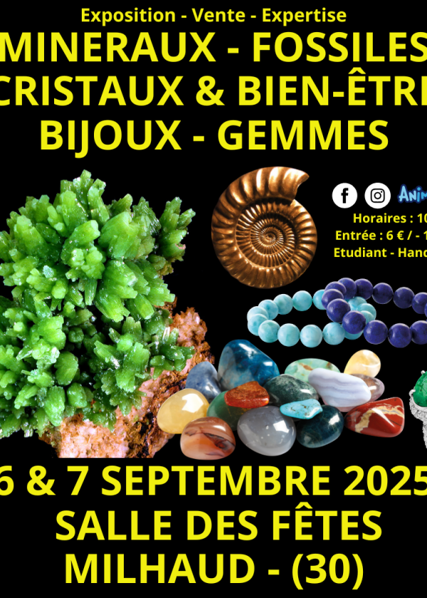 Mineralien, Fossilien, Kristalle & Wohlbefinden Schmuck- und Edelsteinmesse in Nîmes