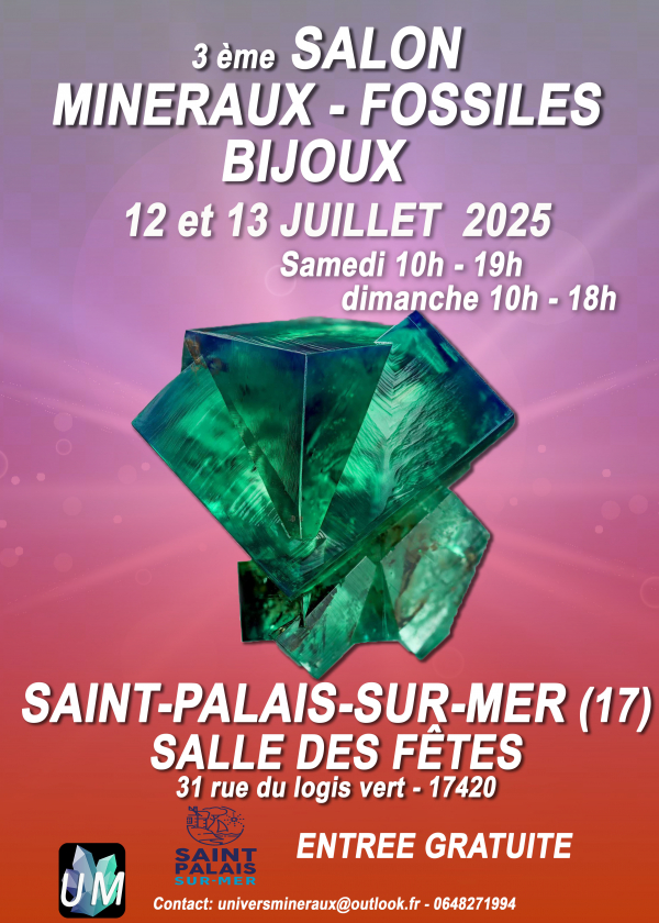 Ausstellung von Mineralien, Fossilien und Designerschmuck.