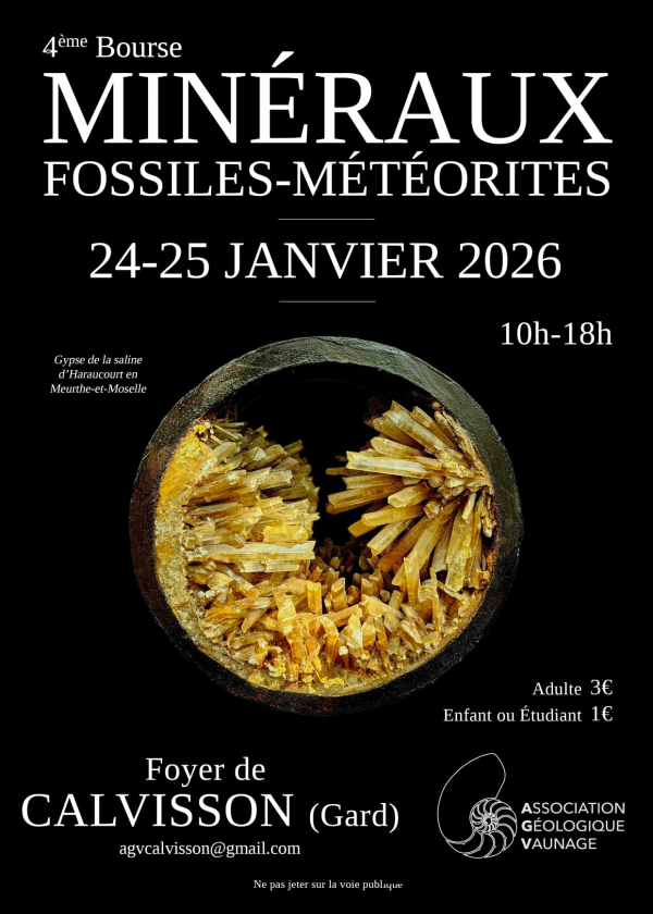 4. Mineralien-, Fossilien- und Meteoritenmesse
