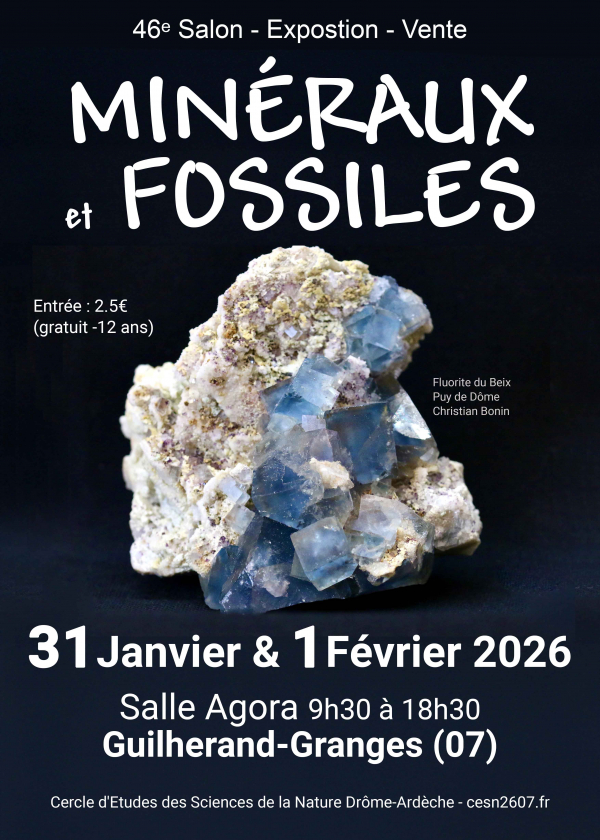 46. Mineralien- und Fossilienbörse Guilherand-Granges