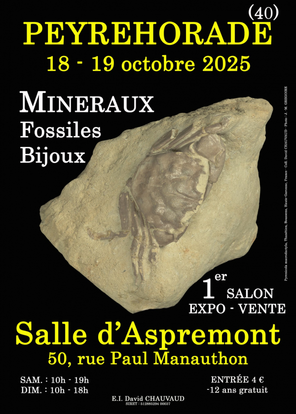 1. MINERALIEN-FOSSILIEN-SCHMUCKMESSE