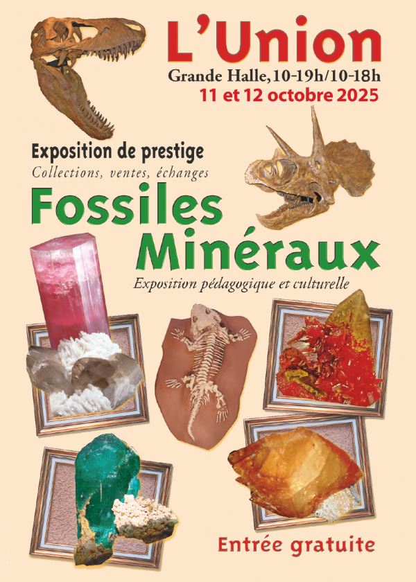 23. Union Mineralien- und Fossilienausstellung