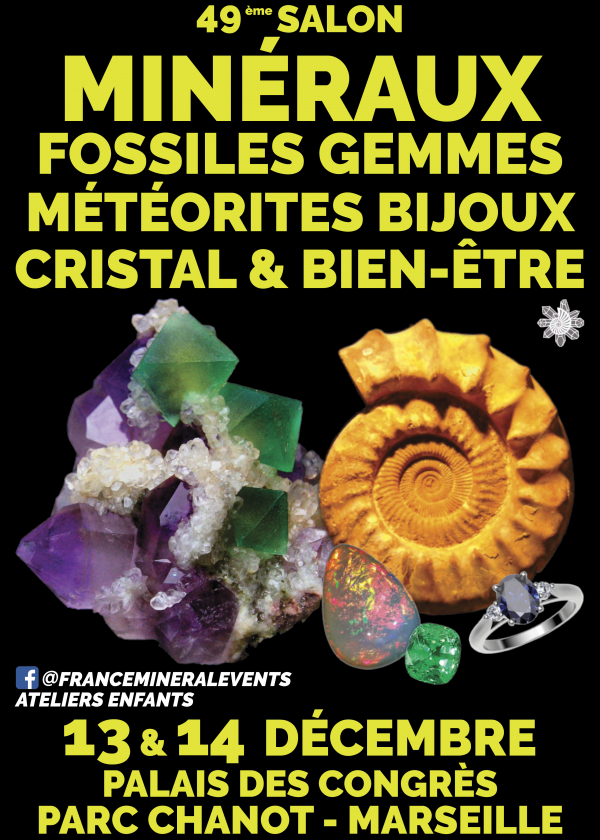 49. Mineralienmesse Marseille