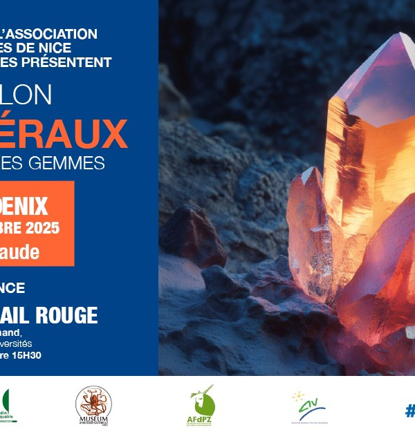 40. Mineralien-, Fossilien- und Edelsteinmesse