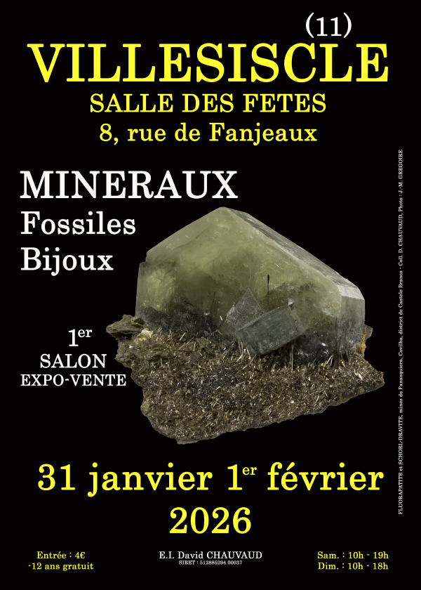 1. Mineralien-, Fossilien- und Schmuckmesse