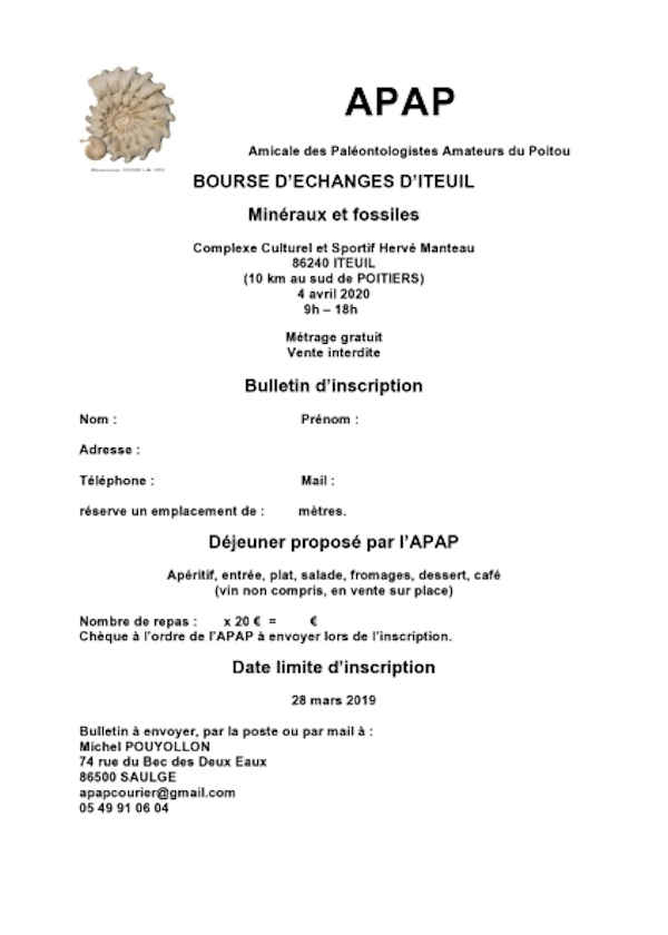 Austausch von Fossilien und Mineralien