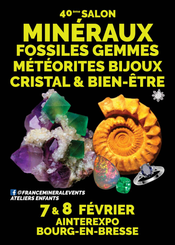 40. Mineralienmesse von Bourg-en-Bresse