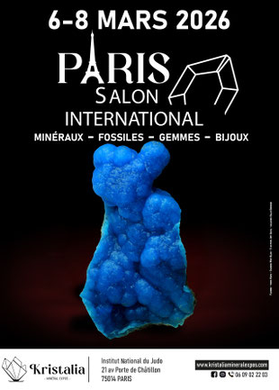 Internationale Mineralienausstellung in Paris
