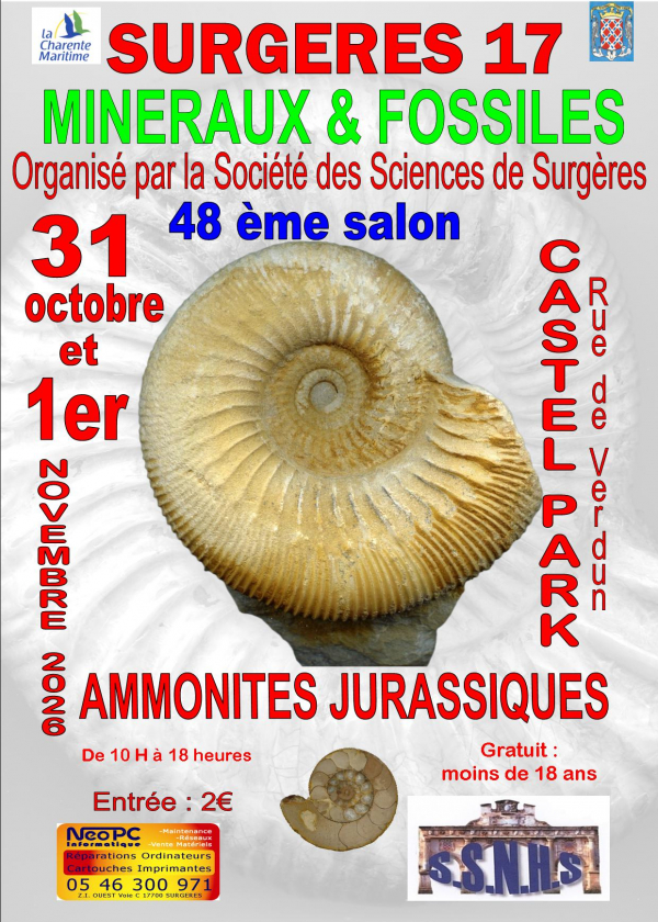 48. Internationale Mineralien- und Fossilienausstellung