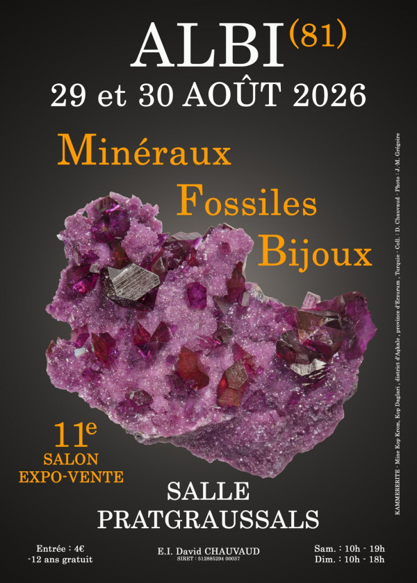 11. Mineralien-, Fossilien- und Schmuckmesse