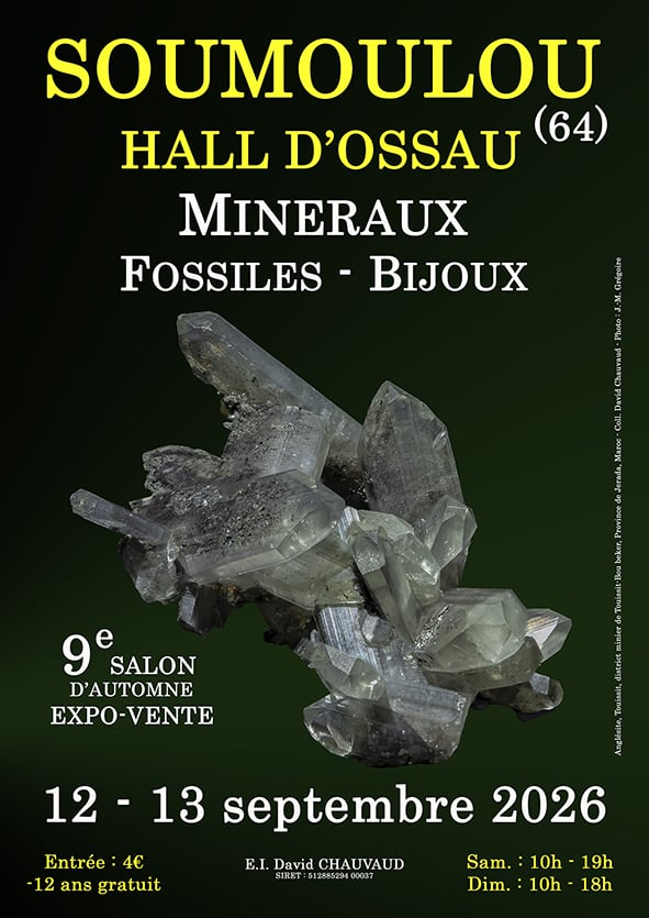 9. Mineralien-, Fossilien- und Schmuckmesse