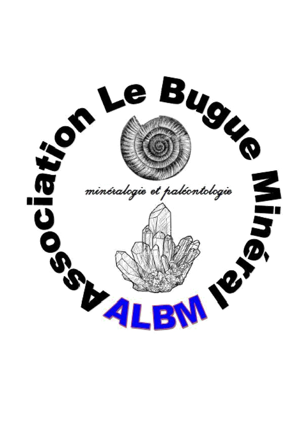 Austausch von Mineralien und Fossilien