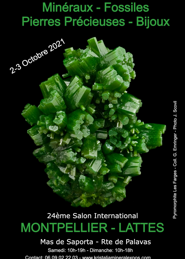 24. internationale Schmuckmesse für fossile Mineralien