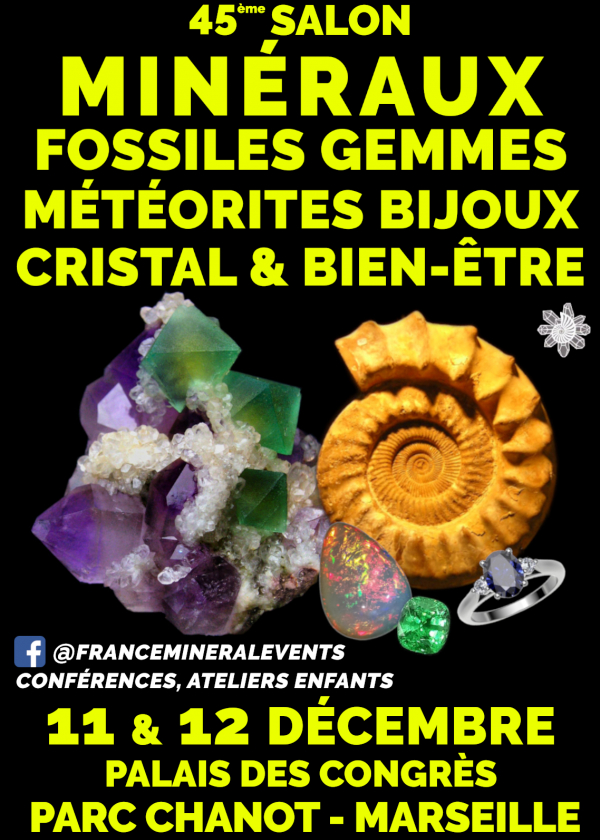 45. Mineral Fair Event Marseille - Mineralien, Fossilien, Edelsteine, Schmuck, Kristall & Wohlbefinden