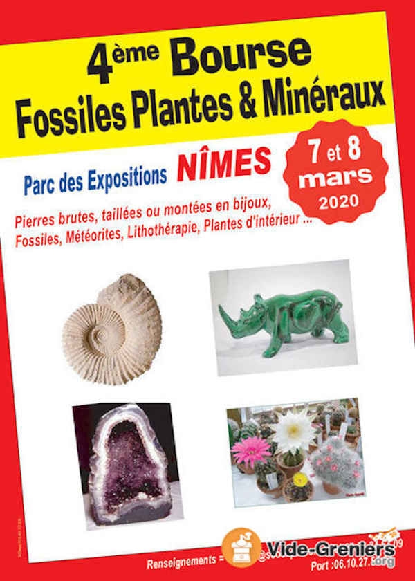 4. Austausch von Fossilien, Pflanzen und Mineralien