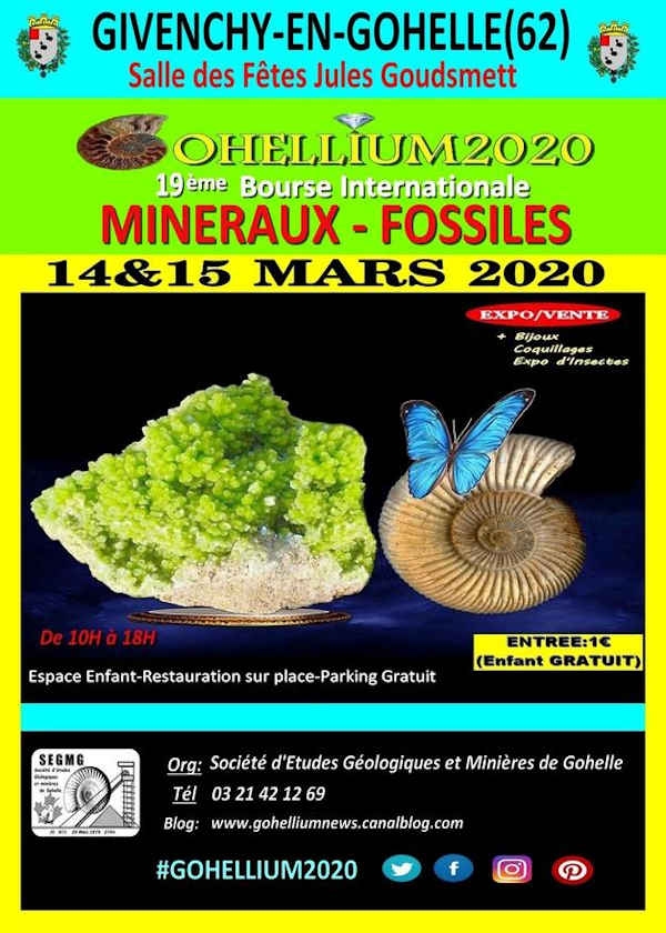 19. Internationaler Austausch fossiler Mineralien Gohellium 2020