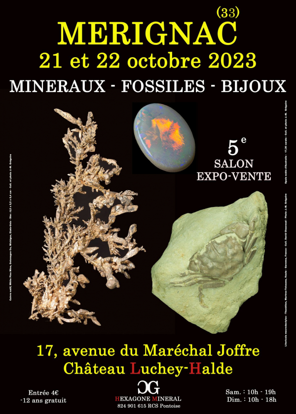 5. Schmuckmesse für fossile Mineralien in Merignac