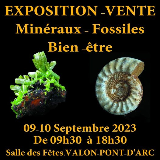 Mineralien, Fossilien, Designerschmuck und Wellnessmesse.