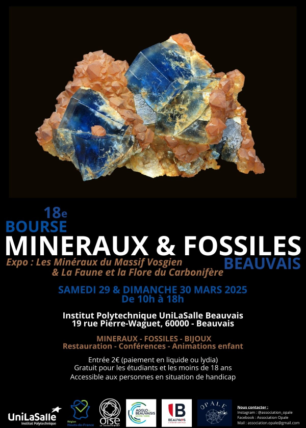 Beauvais Mineralien- und Fossilienbörse (18. Auflage)