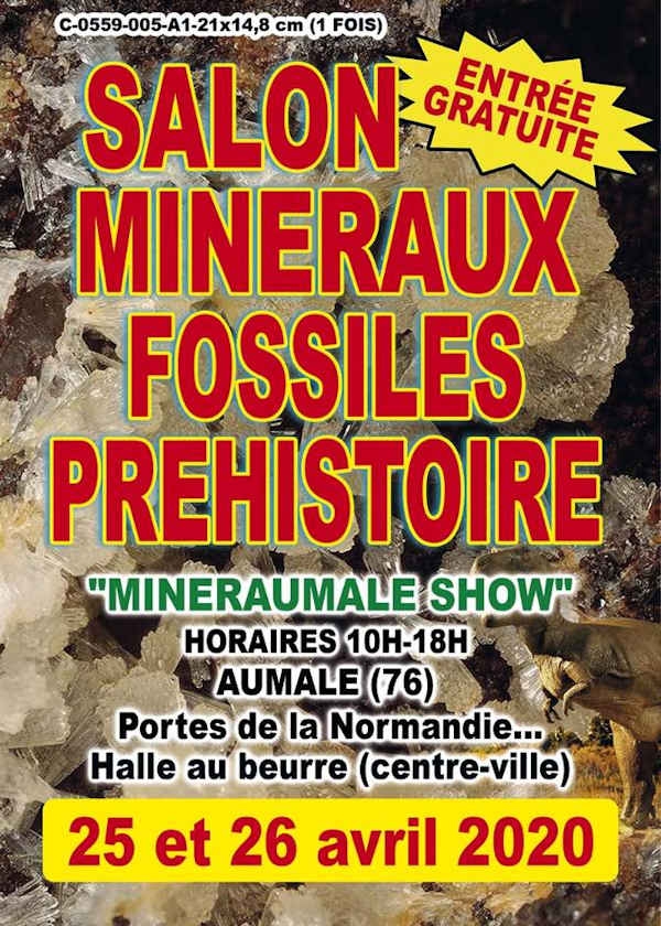 5. Stipendium Ausstellung für prähistorische Mineralien und Fossilien
