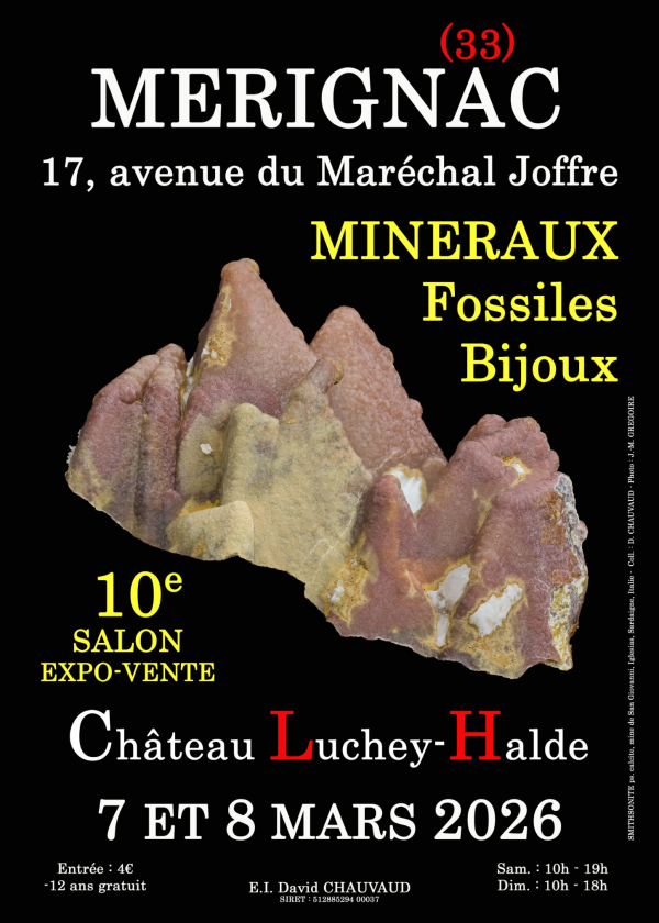 10. Mineralien-, Fossilien- und Schmuckmesse